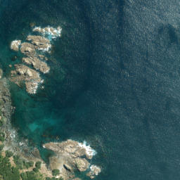 Satellite imagery of Shag Rock, NZ