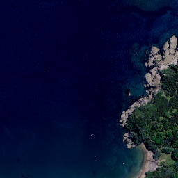 Satellite imagery of Kamakamakura Point, NZ
