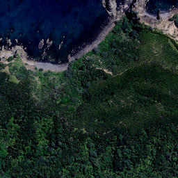 Satellite imagery of Kokohi Point, NZ