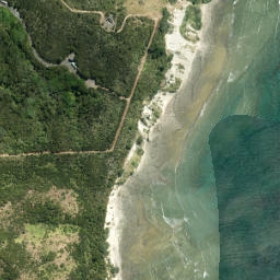 Satellite imagery of Whangaparaoa Head, NZ