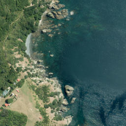 Satellite imagery of Shag Rock, NZ