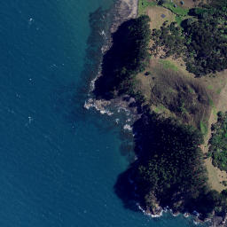 Satellite imagery of Turipeka Point, NZ