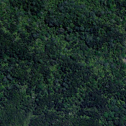 Satellite imagery of Kokohi Point, NZ