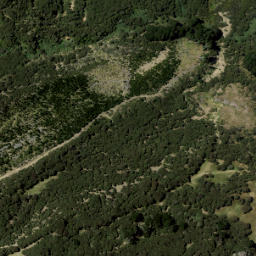 Satellite imagery of U1 NO 2, NZ