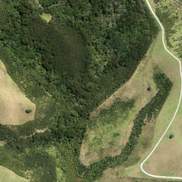 Satellite imagery of Whangaparaoa No 3, NZ