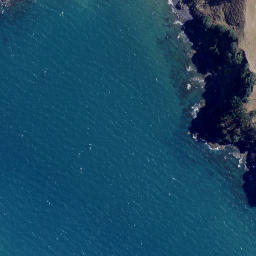 Satellite imagery of Turipeka Point, NZ