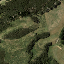Satellite imagery of U1 NO 2, NZ