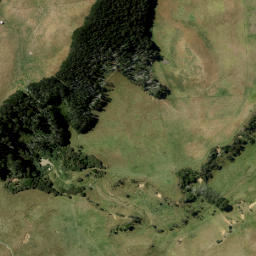 Satellite imagery of U1 NO 2, NZ