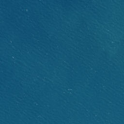 Satellite imagery of Turipeka Point, NZ