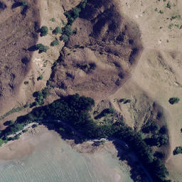 Satellite imagery of Tokawhero Point, NZ