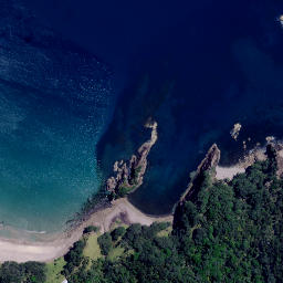Satellite imagery of Pukenui Point, NZ