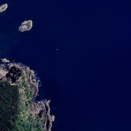 Satellite imagery of Pukenui Point, NZ