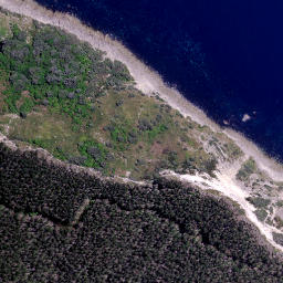 Satellite imagery of Omataonga Point, NZ