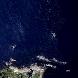 Satellite imagery of Oruaki Point, NZ