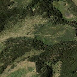 Satellite imagery of U1 NO 2, NZ
