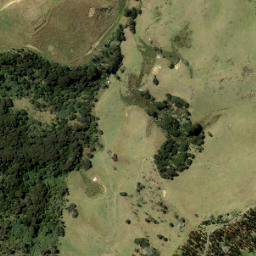 Satellite imagery of U1 NO 2, NZ