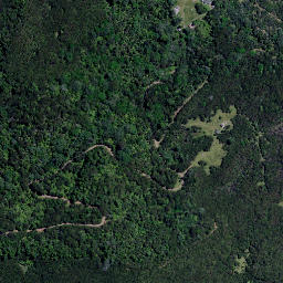 Satellite imagery of Titimiri Point, NZ