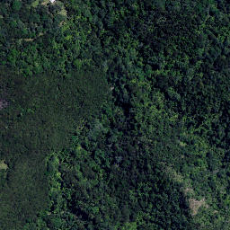 Satellite imagery of Titimiri Point, NZ