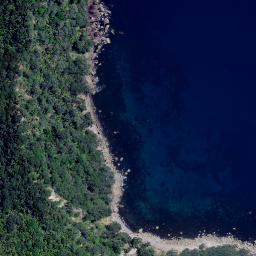 Satellite imagery of Titimiri Point, NZ