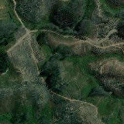 Satellite imagery of Cerro El Peumo, CL