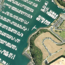 Satellite imagery of Rakauananga Point, NZ