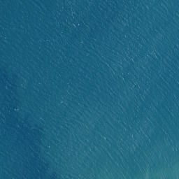 Satellite imagery of Te Whau Point, NZ