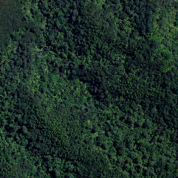 Satellite imagery of H2 WHANAKE, NZ