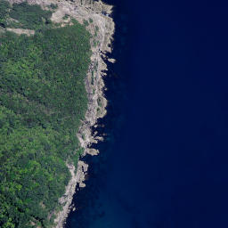 Satellite imagery of Whanake Point, NZ