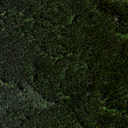 Satellite imagery of Awaroa Point, NZ