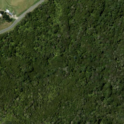 Satellite imagery of 24 POROURE, NZ