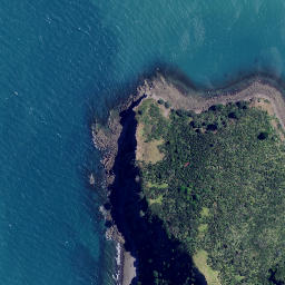 Satellite imagery of Te Whau Point, NZ