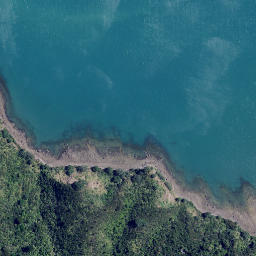 Satellite imagery of Te Whau Point, NZ