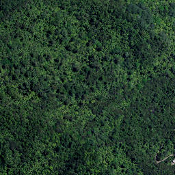 Satellite imagery of H2 WHANAKE, NZ