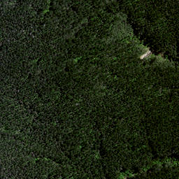 Satellite imagery of Awaroa Point, NZ