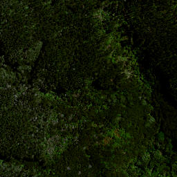 Satellite imagery of Awaroa Point, NZ