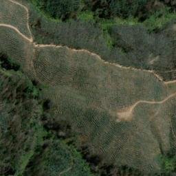 Satellite imagery of Cerro Caracol, CL