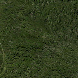 Satellite imagery of 24 POROURE, NZ