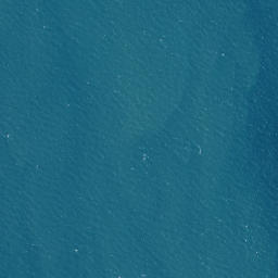 Satellite imagery of Te Whau Point, NZ
