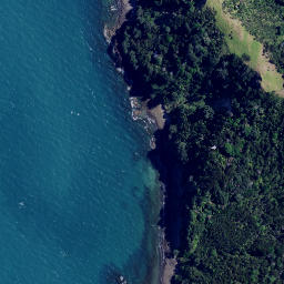Satellite imagery of Te Whau Point, NZ