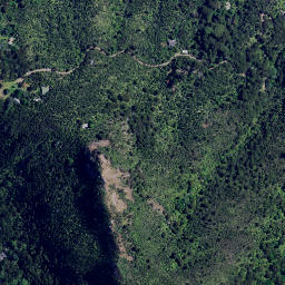 Satellite imagery of Te Whau Point, NZ