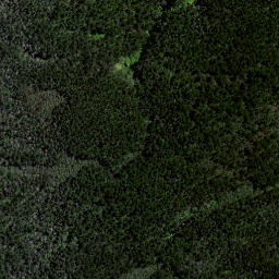 Satellite imagery of Awaroa Point, NZ