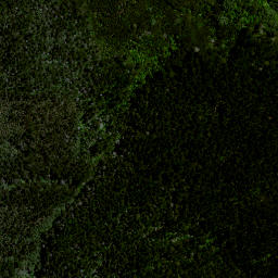 Satellite imagery of Awaroa Point, NZ