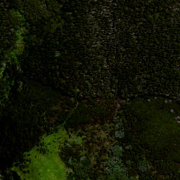 Satellite imagery of Ururaha Point, NZ