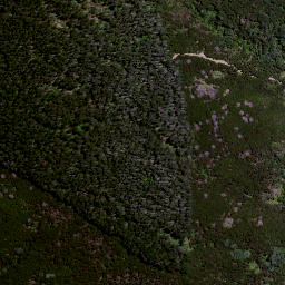 Satellite imagery of Ururaha Point, NZ
