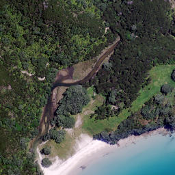 Satellite imagery of Ururaha Point, NZ