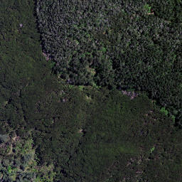 Satellite imagery of Motutaika Point, NZ