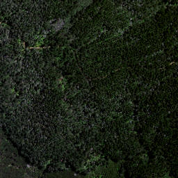 Satellite imagery of Awanui Point, NZ