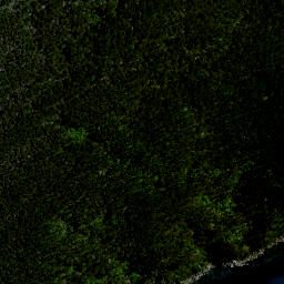 Satellite imagery of Awanui Point, NZ