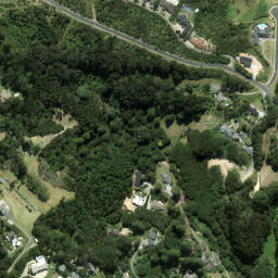 Satellite imagery of 1453, NZ