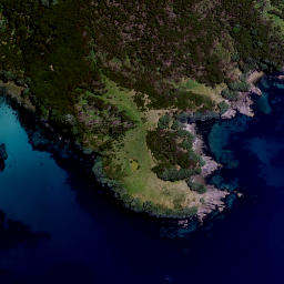 Satellite imagery of Ururaha Point, NZ